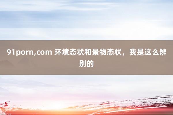 91porn,com 环境态状和景物态状,我是这么辨别的