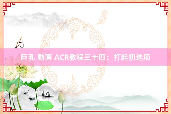 巨乳 動画 ACR教程三十四：打起初选项