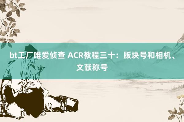 bt工厂唯爱侦查 ACR教程三十：版块号和相机、文献称号