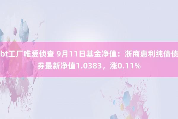 bt工厂唯爱侦查 9月11日基金净值：浙商惠利纯债债券最新净值1.0383，涨0.11%