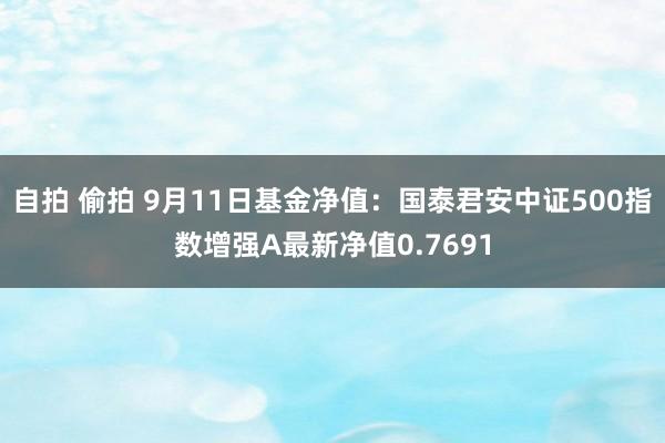 自拍 偷拍 9月11日基金净值：国泰君安中证500指数增强A最新净值0.7691