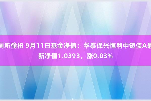 厕所偷拍 9月11日基金净值：华泰保兴恒利中短债A最新净值1.0393，涨0.03%
