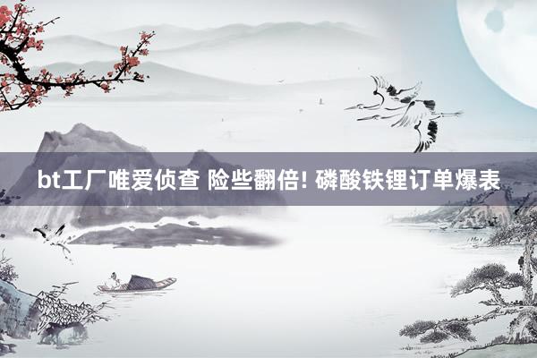 bt工厂唯爱侦查 险些翻倍! 磷酸铁锂订单爆表