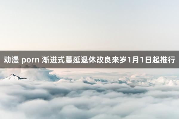 动漫 porn 渐进式蔓延退休改良来岁1月1日起推行