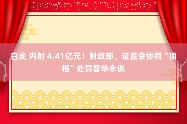 白虎 内射 4.41亿元！财政部、证监会协同“顶格”处罚普华永谈