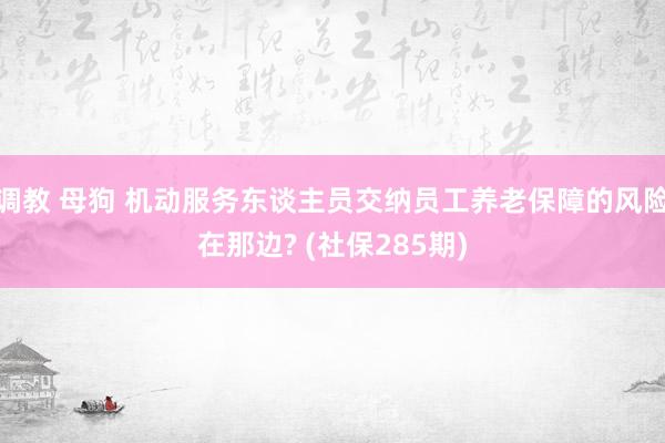 调教 母狗 机动服务东谈主员交纳员工养老保障的风险在那边? (社保285期)