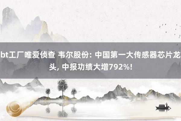 bt工厂唯爱侦查 韦尔股份: 中国第一大传感器芯片龙头， 中报功绩大增792%!