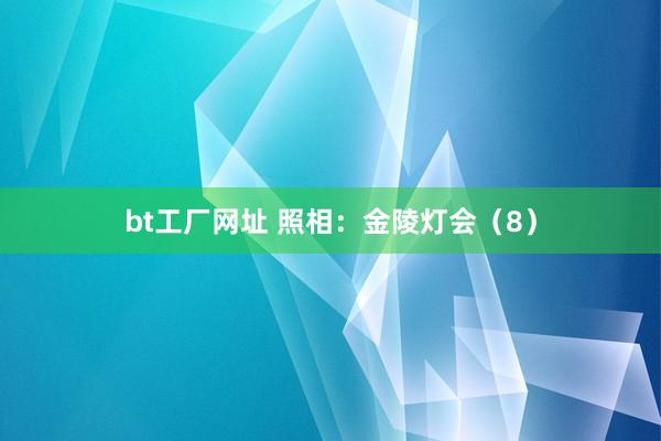 bt工厂网址 照相：金陵灯会（8）