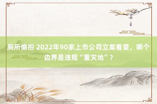 厕所偷拍 2022年90家上市公司立案看望，哪个边界是违规“重灾地”？