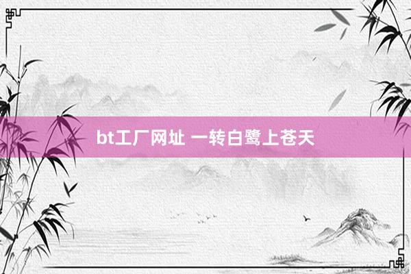 bt工厂网址 一转白鹭上苍天