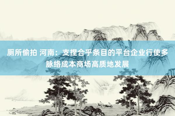厕所偷拍 河南：支捏合乎条目的平台企业行使多脉络成本商场高质地发展