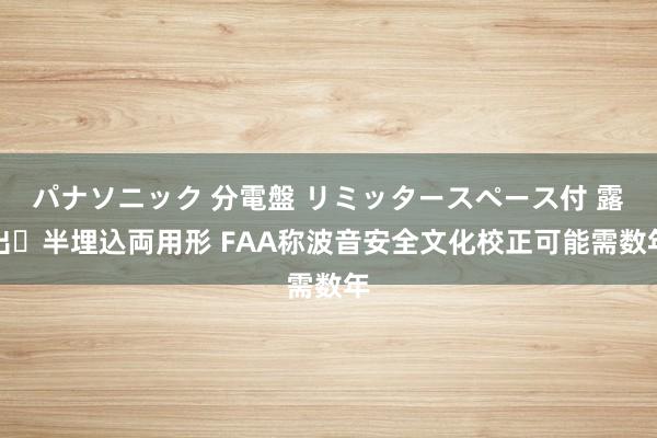 パナソニック 分電盤 リミッタースペース付 露出・半埋込両用形 FAA称波音安全文化校正可能需数年