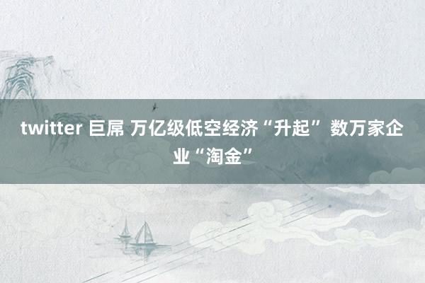 twitter 巨屌 万亿级低空经济“升起” 数万家企业“淘金”