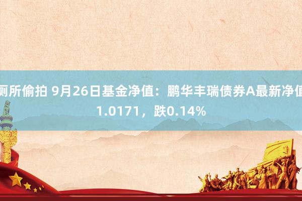 厕所偷拍 9月26日基金净值：鹏华丰瑞债券A最新净值1.0171，跌0.14%