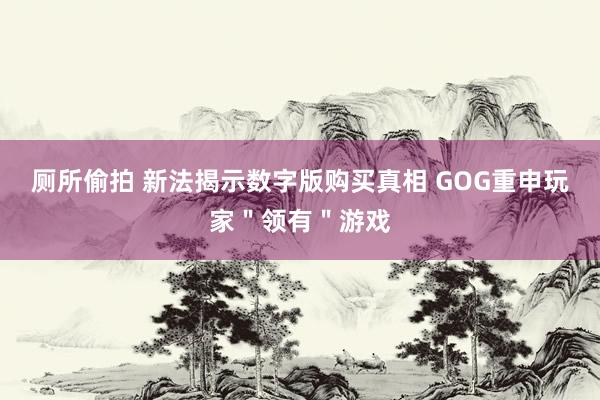 厕所偷拍 新法揭示数字版购买真相 GOG重申玩家＂领有＂游戏