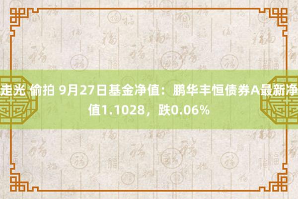 走光 偷拍 9月27日基金净值：鹏华丰恒债券A最新净值1.1028，跌0.06%