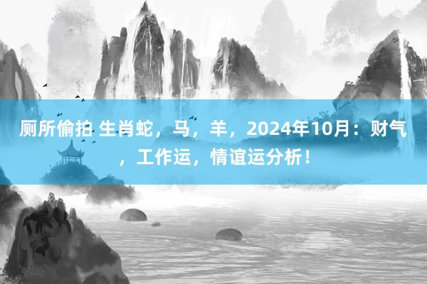 厕所偷拍 生肖蛇，马，羊，2024年10月：财气，工作运，情谊运分析！