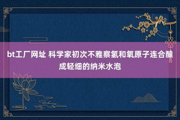 bt工厂网址 科学家初次不雅察氢和氧原子连合酿成轻细的纳米水泡