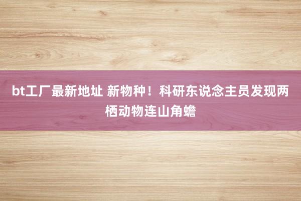 bt工厂最新地址 新物种！科研东说念主员发现两栖动物连山角蟾