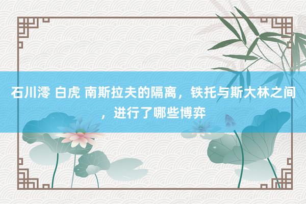 石川澪 白虎 南斯拉夫的隔离，铁托与斯大林之间，进行了哪些博弈