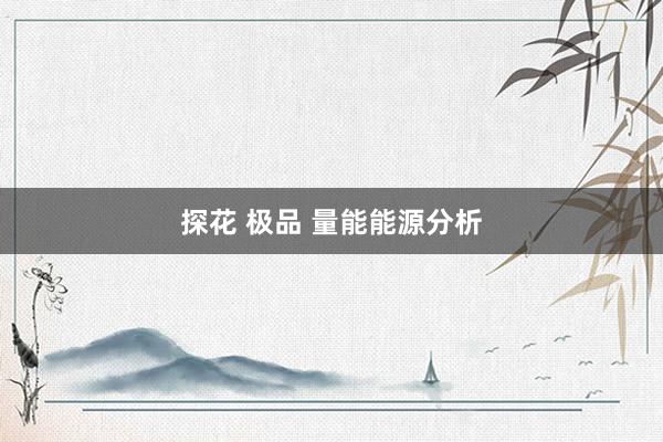 探花 极品 量能能源分析