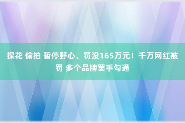 探花 偷拍 暂停野心、罚没165万元！千万网红被罚 多个品牌罢手勾通