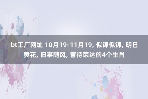 bt工厂网址 10月19-11月19， 似锦似锦， 明日黄花， 旧事随风， 管待荣达的4个生肖