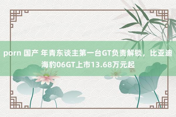 porn 国产 年青东谈主第一台GT负责解锁，比亚迪海豹06GT上市13.68万元起