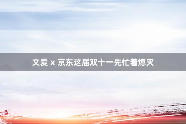 文爱 x 京东这届双十一先忙着熄灭
