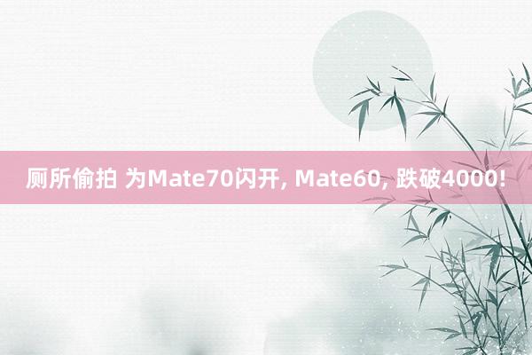 厕所偷拍 为Mate70闪开， Mate60， 跌破4000!