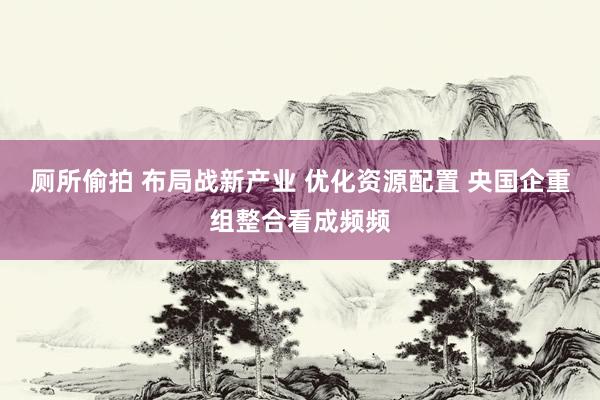 厕所偷拍 布局战新产业 优化资源配置 央国企重组整合看成频频