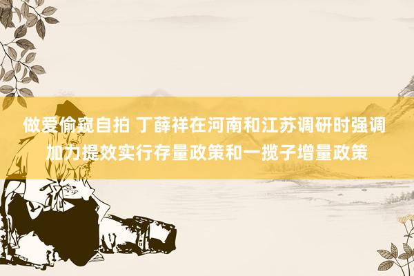 做爱偷窥自拍 丁薛祥在河南和江苏调研时强调 加力提效实行存量政策和一揽子增量政策