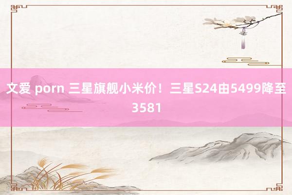 文爱 porn 三星旗舰小米价！三星S24由5499降至3581