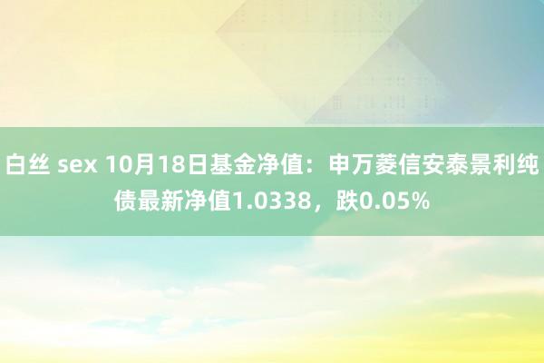 白丝 sex 10月18日基金净值：申万菱信安泰景利纯债最新净值1.0338，跌0.05%