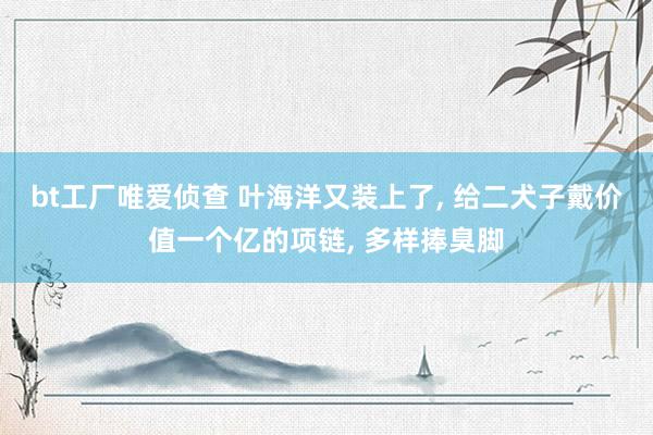 bt工厂唯爱侦查 叶海洋又装上了， 给二犬子戴价值一个亿的项链， 多样捧臭脚