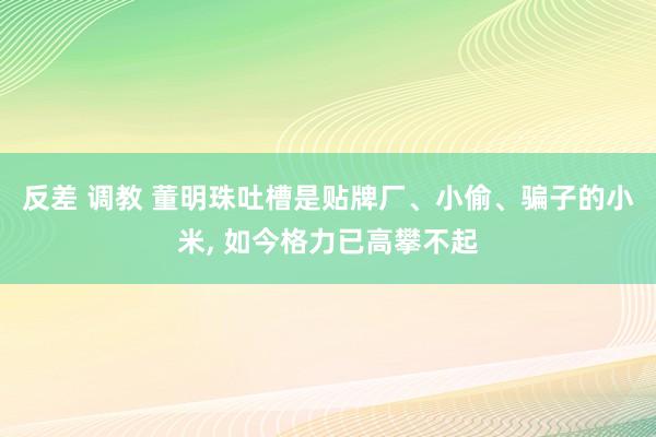 反差 调教 董明珠吐槽是贴牌厂、小偷、骗子的小米， 如今格力已高攀不起