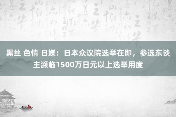 黑丝 色情 日媒：日本众议院选举在即，参选东谈主濒临1500万日元以上选举用度