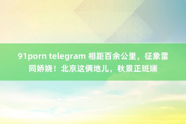 91porn telegram 相距百余公里，征象雷同娇娆！北京这俩地儿，秋景正斑斓