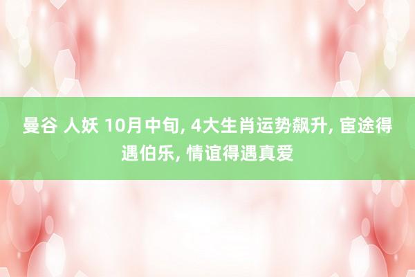 曼谷 人妖 10月中旬， 4大生肖运势飙升， 宦途得遇伯乐， 情谊得遇真爱