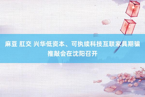 麻豆 肛交 兴华低资本、可执续科技互联家具期骗推敲会在沈阳召开