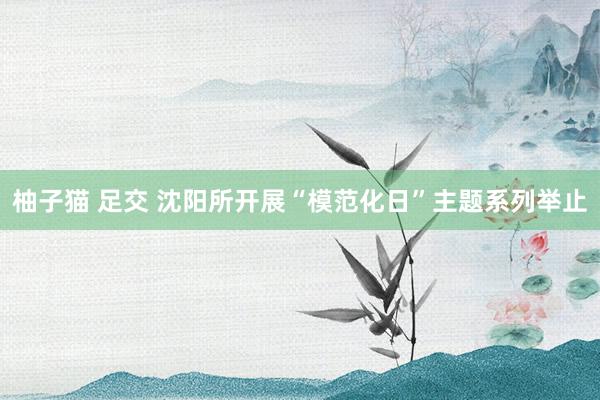 柚子猫 足交 沈阳所开展“模范化日”主题系列举止