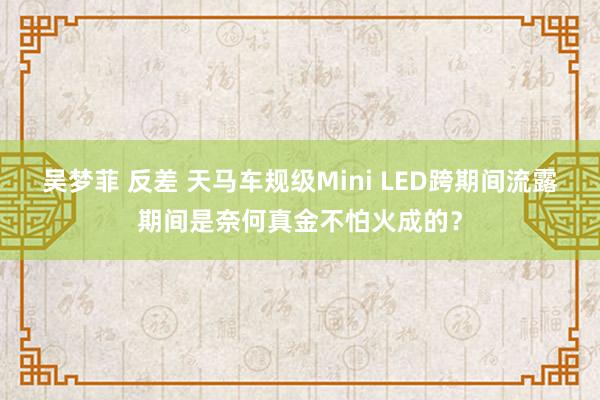 吴梦菲 反差 天马车规级Mini LED跨期间流露期间是奈何真金不怕火成的？