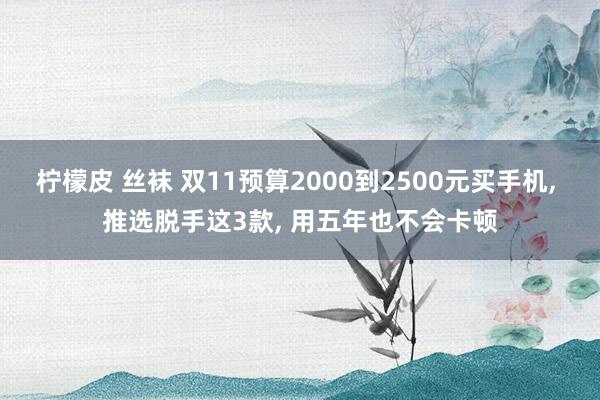 柠檬皮 丝袜 双11预算2000到2500元买手机， 推选脱手这3款， 用五年也不会卡顿