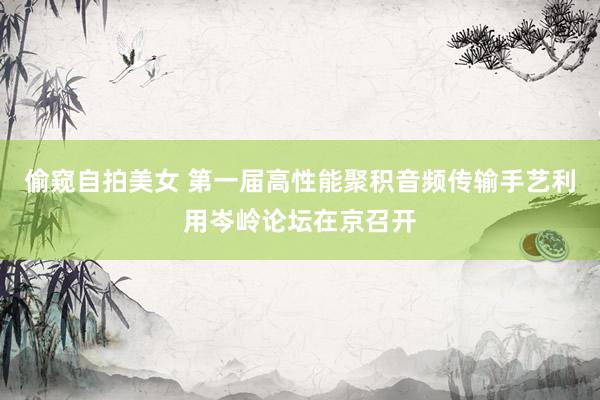 偷窥自拍美女 第一届高性能聚积音频传输手艺利用岑岭论坛在京召开