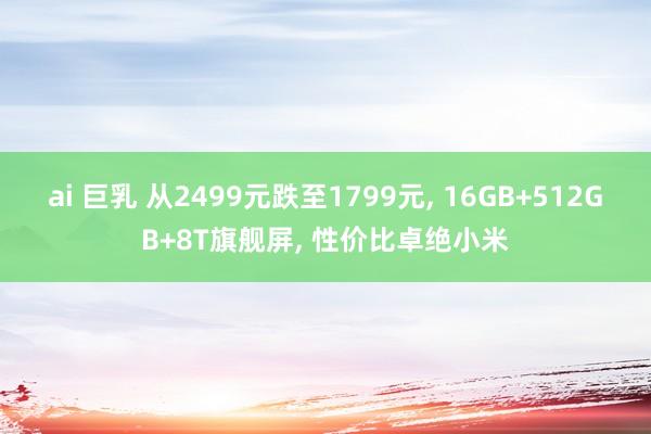 ai 巨乳 从2499元跌至1799元， 16GB+512GB+8T旗舰屏， 性价比卓绝小米
