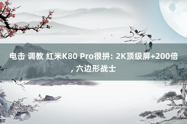 电击 调教 红米K80 Pro很拼: 2K顶级屏+200倍， 六边形战士