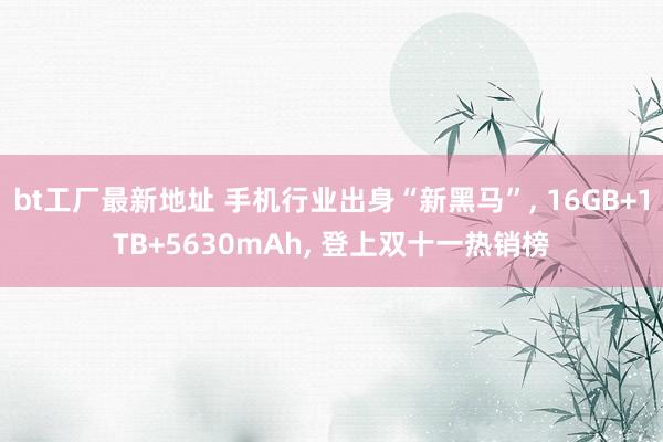 bt工厂最新地址 手机行业出身“新黑马”， 16GB+1TB+5630mAh， 登上双十一热销榜