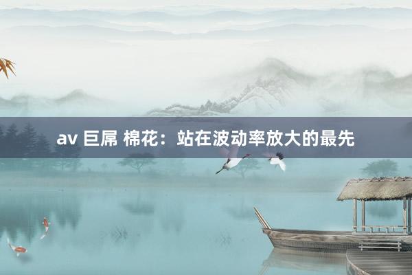 av 巨屌 棉花：站在波动率放大的最先