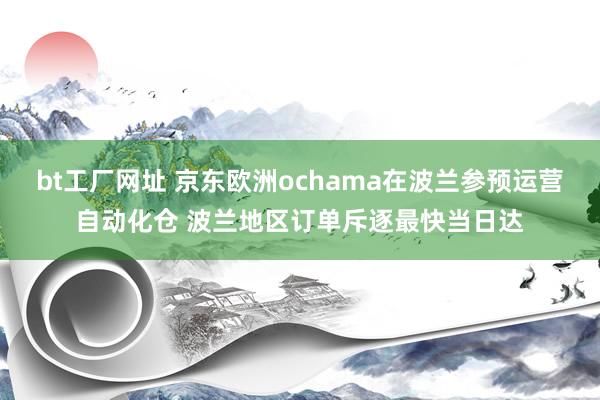 bt工厂网址 京东欧洲ochama在波兰参预运营自动化仓 波兰地区订单斥逐最快当日达