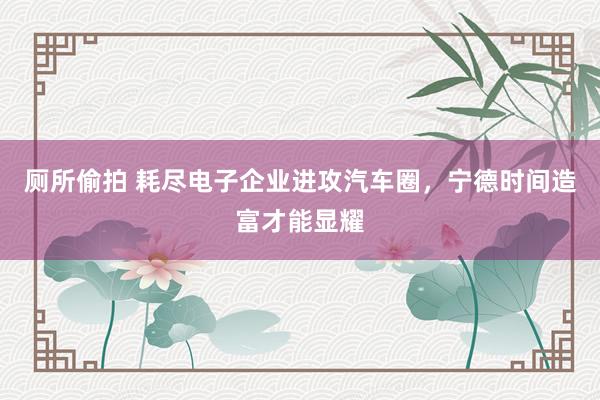 厕所偷拍 耗尽电子企业进攻汽车圈，宁德时间造富才能显耀